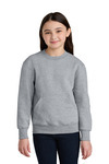 Youth Core Fleece Crewneck Pocket Sweatshirt