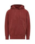 Men's Coastal Color™ Hooded Sweatshirt