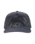 Walleye Nature Scene Cap