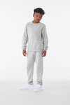 Youth Sponge Fleece Raglan Sweatshirt