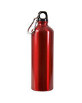 25oz Aluminum Alpine Sport Bottle